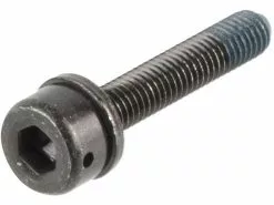 Shimano Befestigungsschrauben Für Scheibenbremsadapter Flat Mount Auf PM -DMR BremsbelagVerkäufe 146661