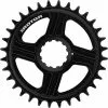 Rotor E-MTB Kettenblatt Direct Mount Für Fazua, NoQ