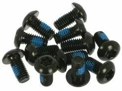 Hayes Torxschrauben T25