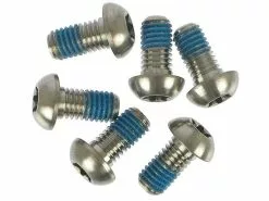 AVID Befestigungsschrauben Titan Für Bremsscheibe